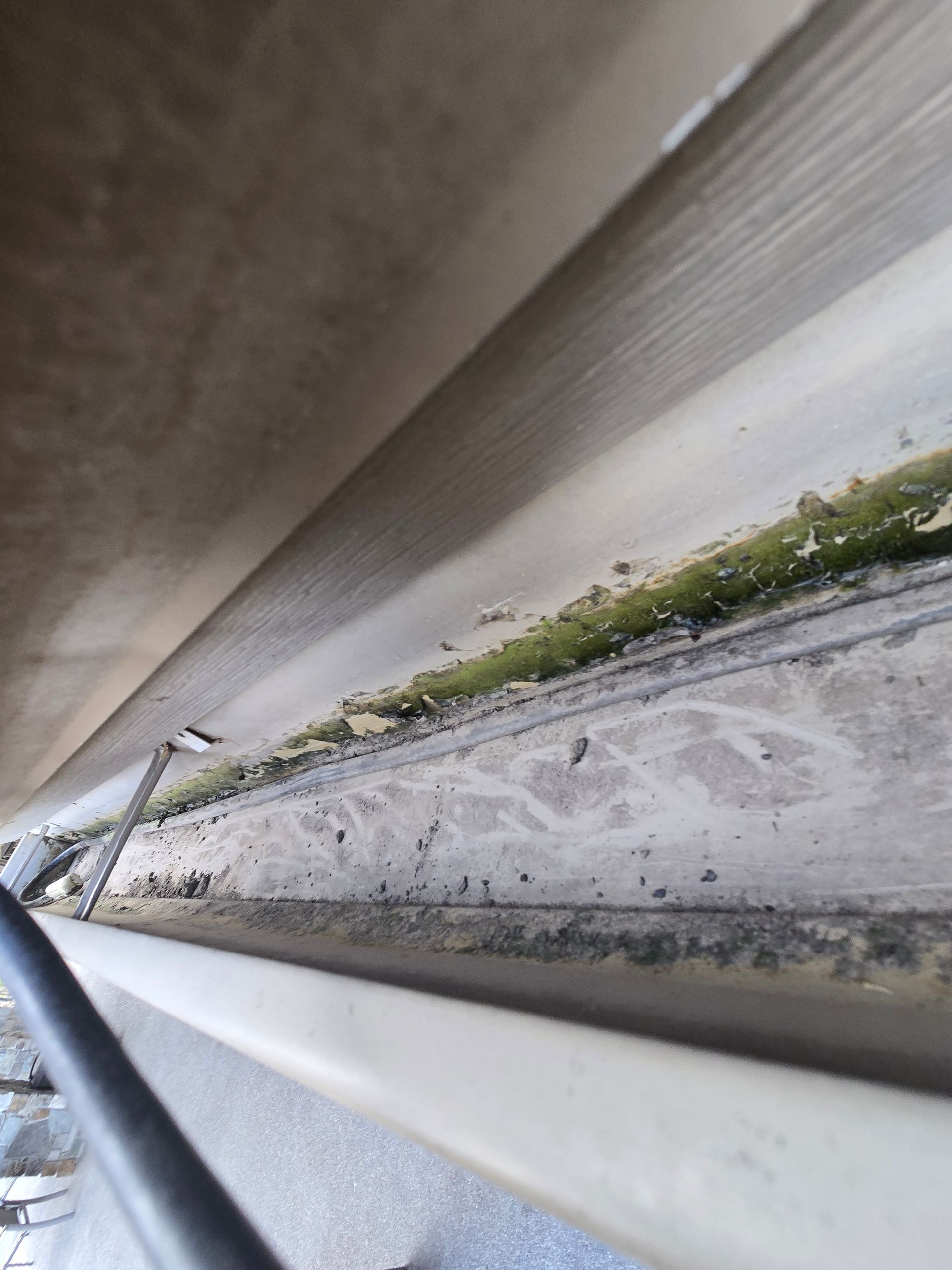 A close-up view looking down into a dirty metal gutter containing debris and green moss buildup along the edge.