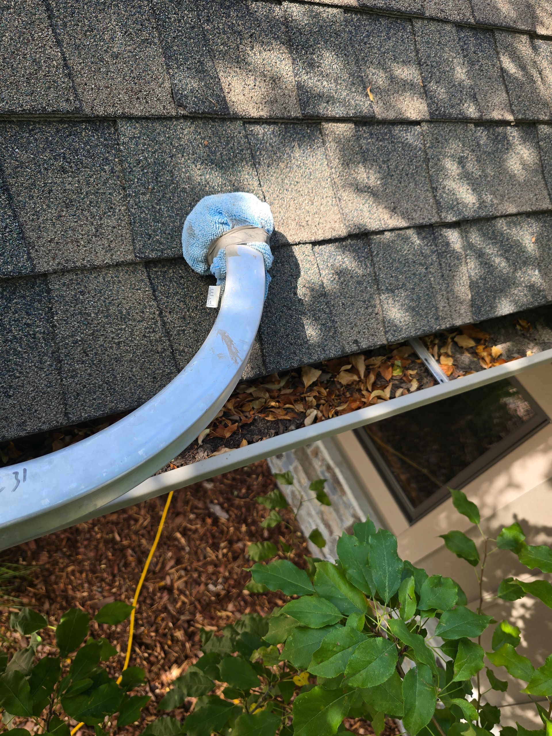 A roof penetration point showing a white conduit pipe sealed with blue foam on asphalt shingles above a gutter filled with leaves.