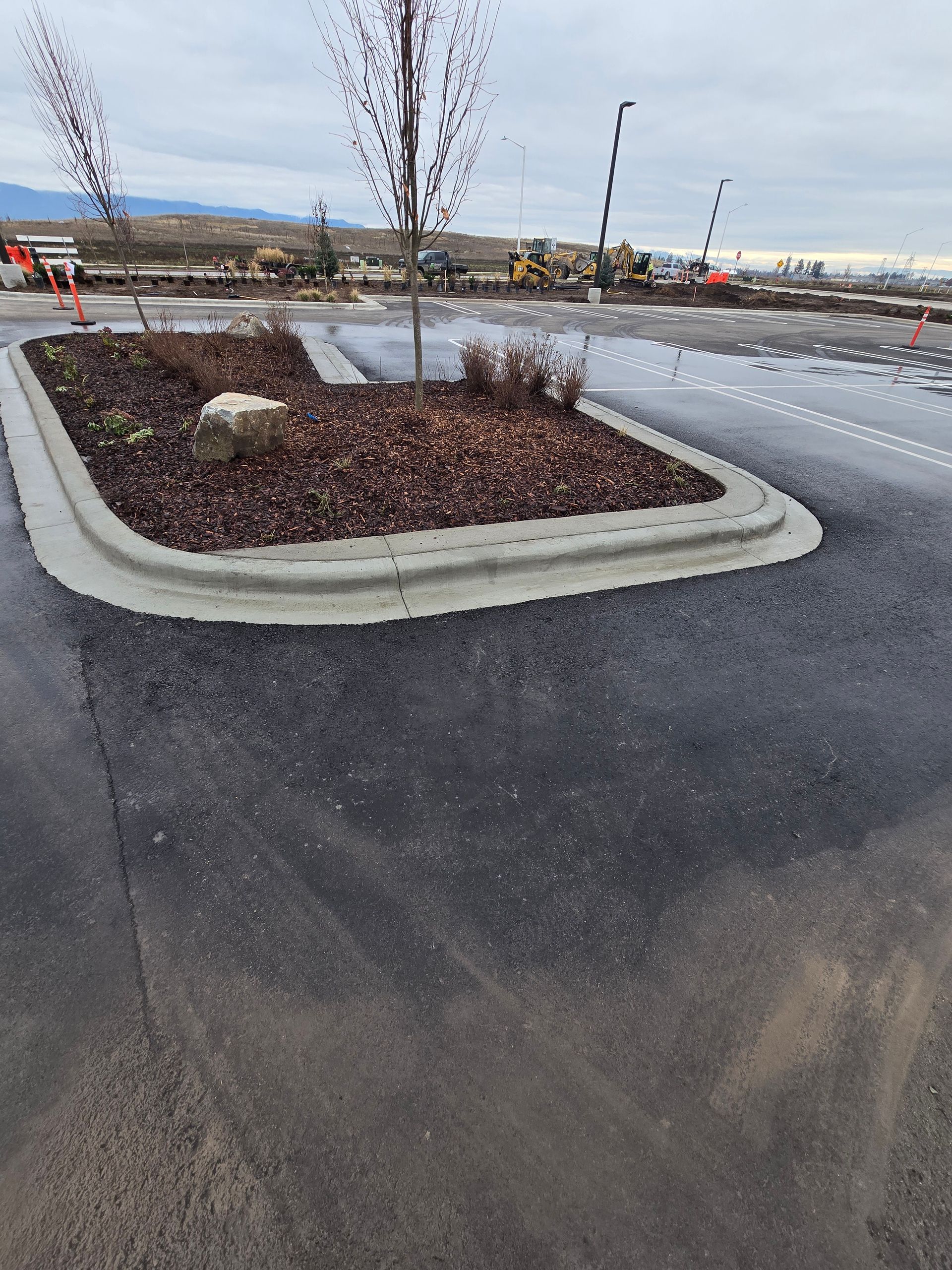 A freshly paved parking lot featuring a landscaped concrete-curbed island with mulch, small shrubs, and a young tree.
