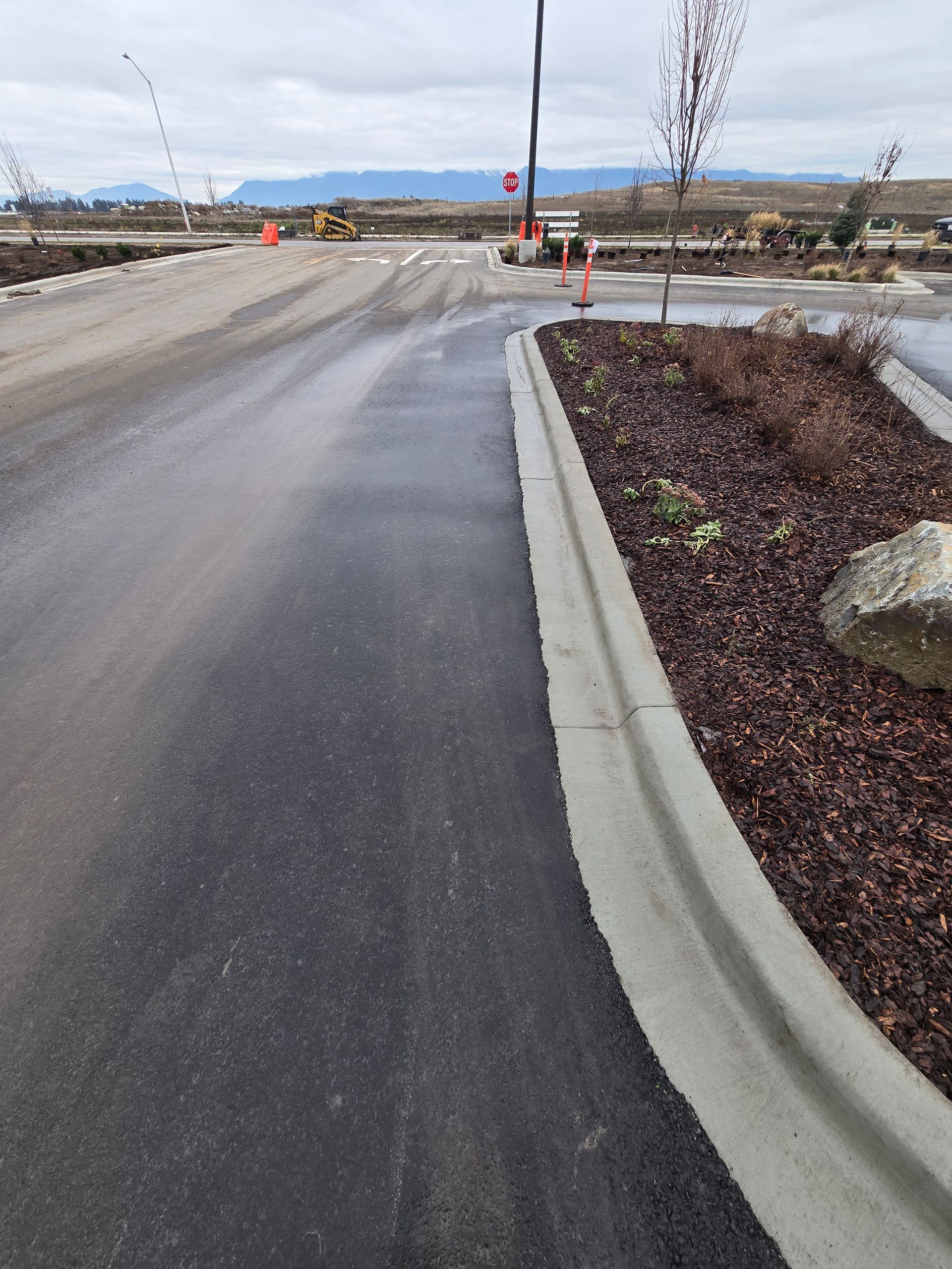 A paved road with a concrete curb bordering a landscaped area featuring dark mulch, small shrubs, and a large rock.
