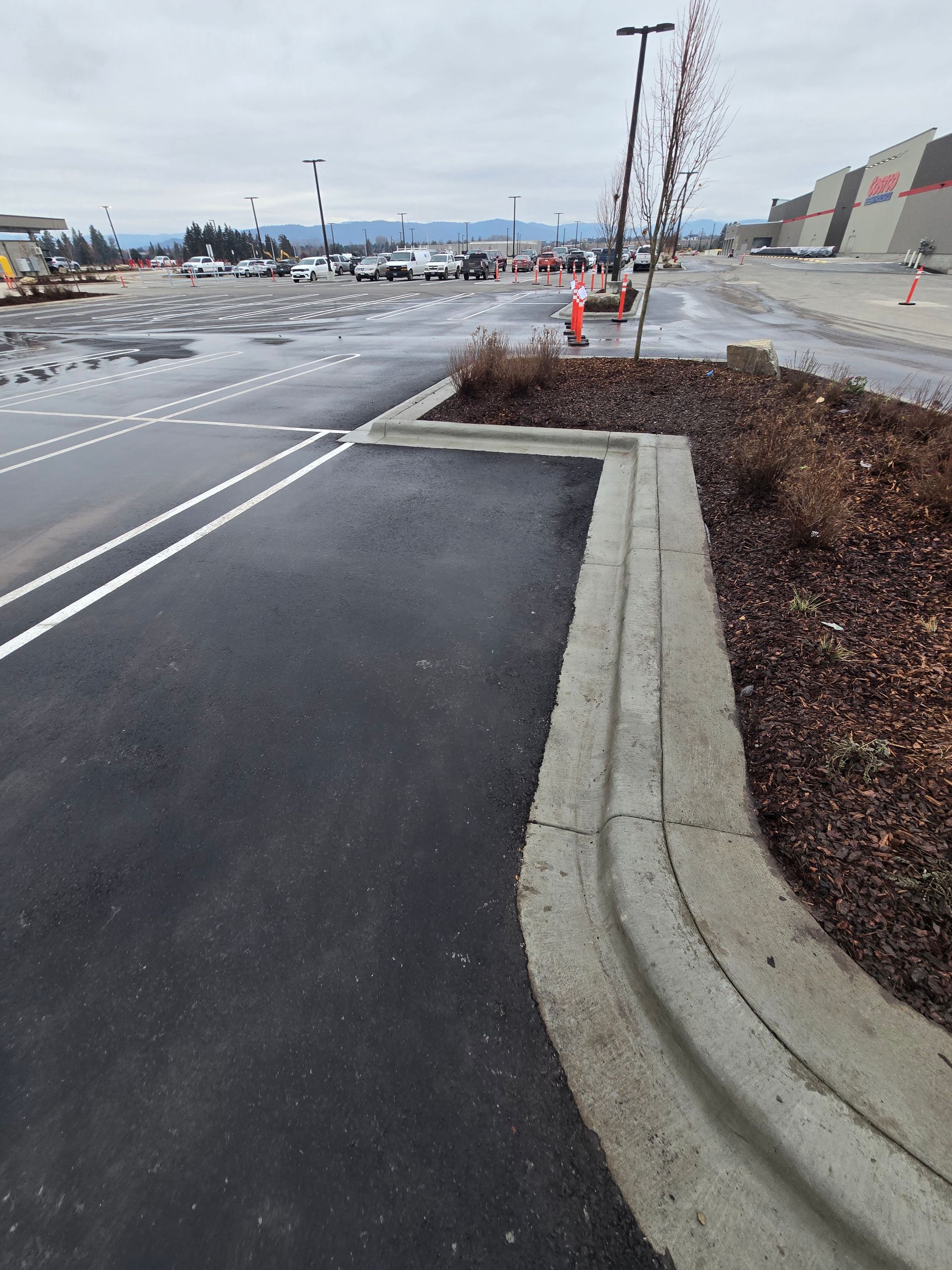 An outdoor parking lot with wet asphalt, marked parking lines, and a landscaped concrete curb island with a small tree.