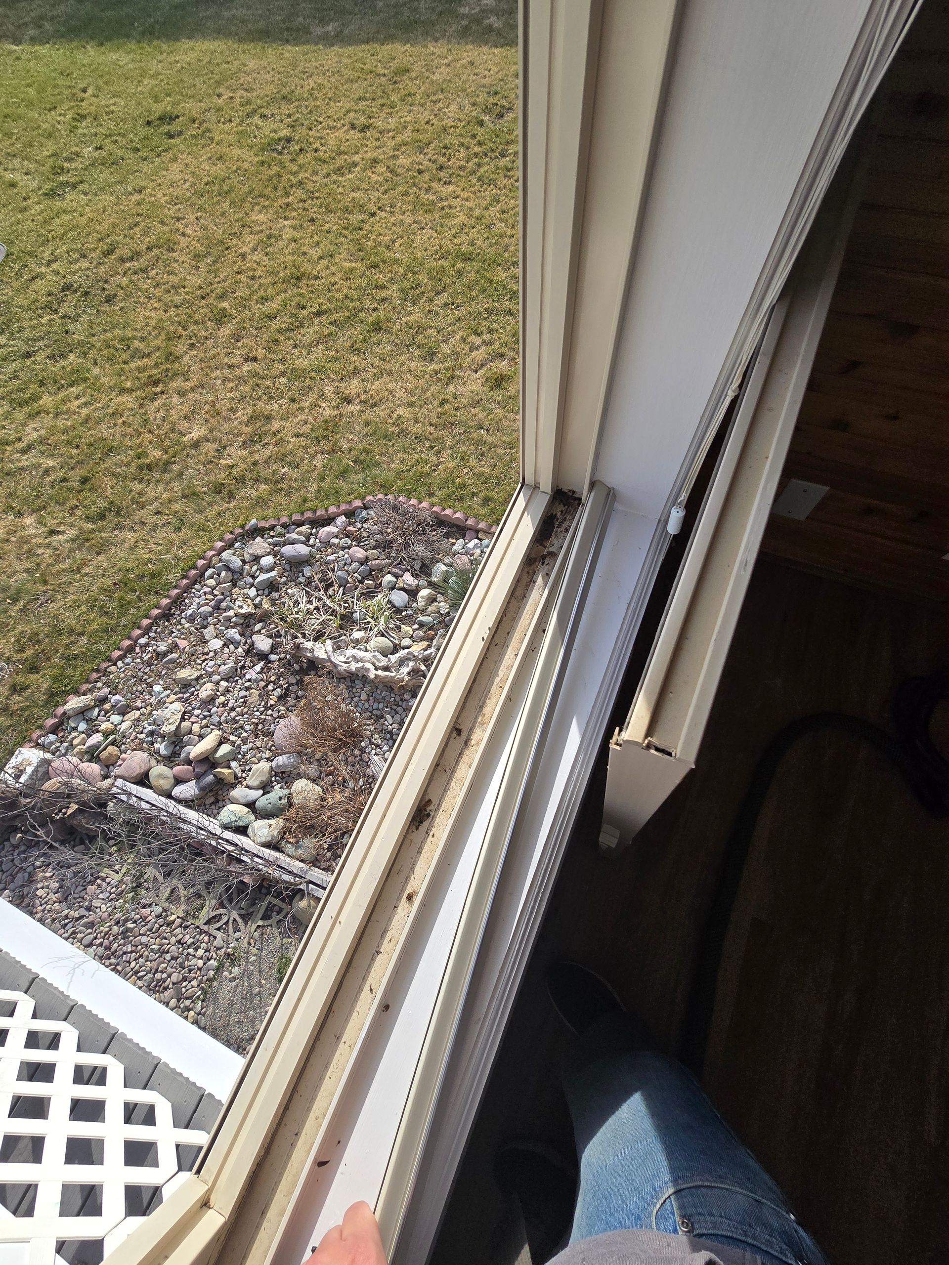 A close-up, high-angle shot of a white window frame and track with debris and dead insects visible in the sill.