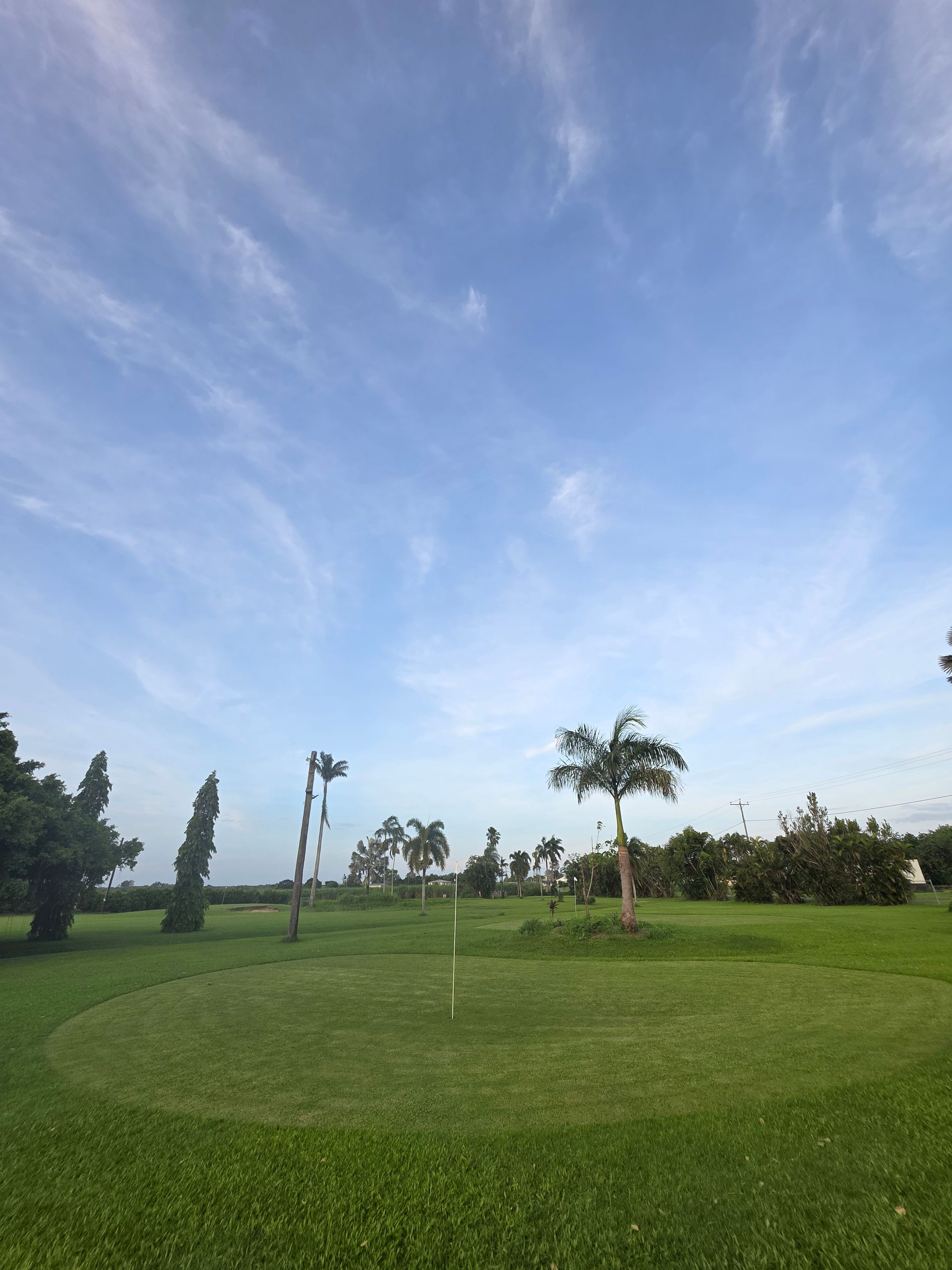 A person is playing mini golf on a lush green field.