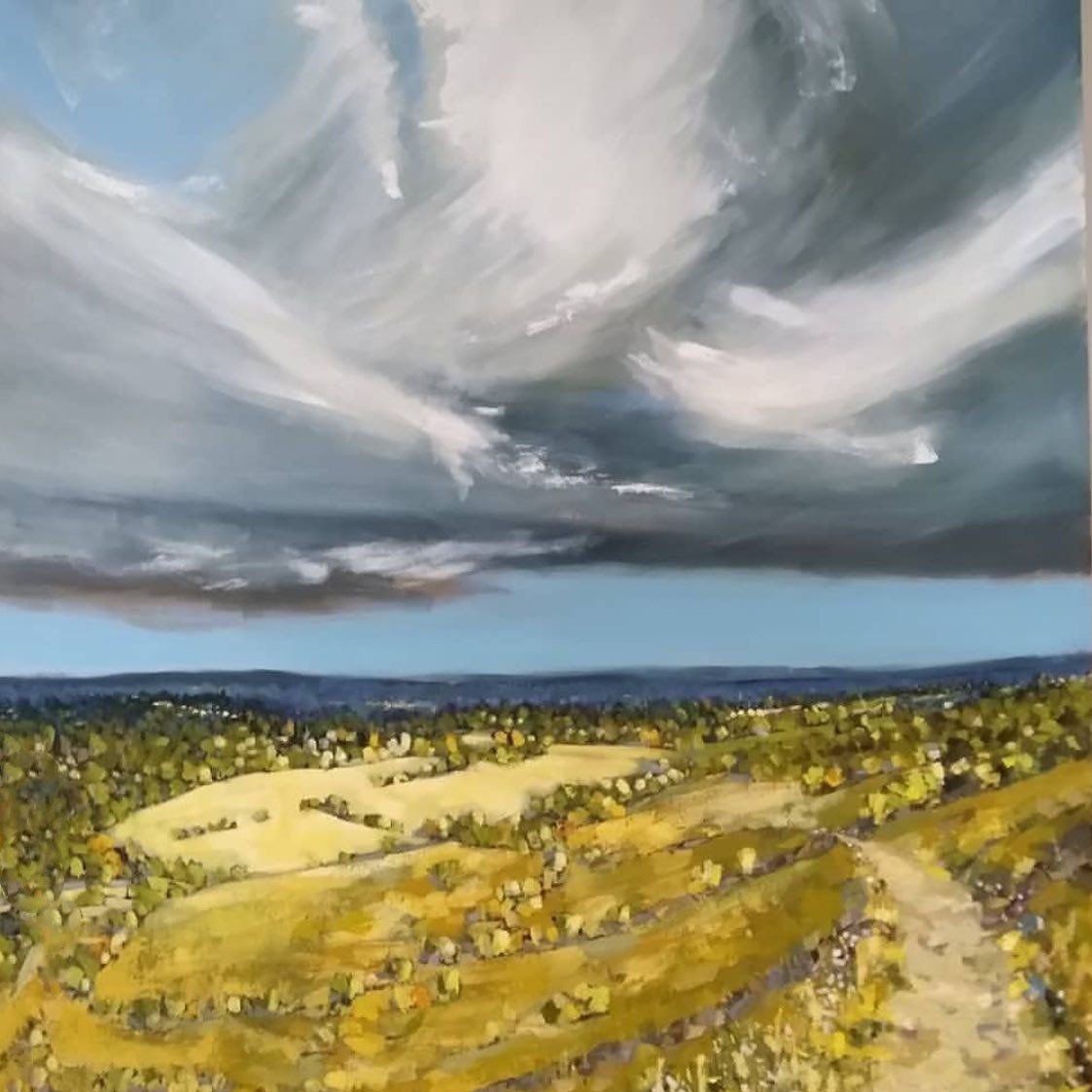 A painting of a field with a cloudy sky in the background.