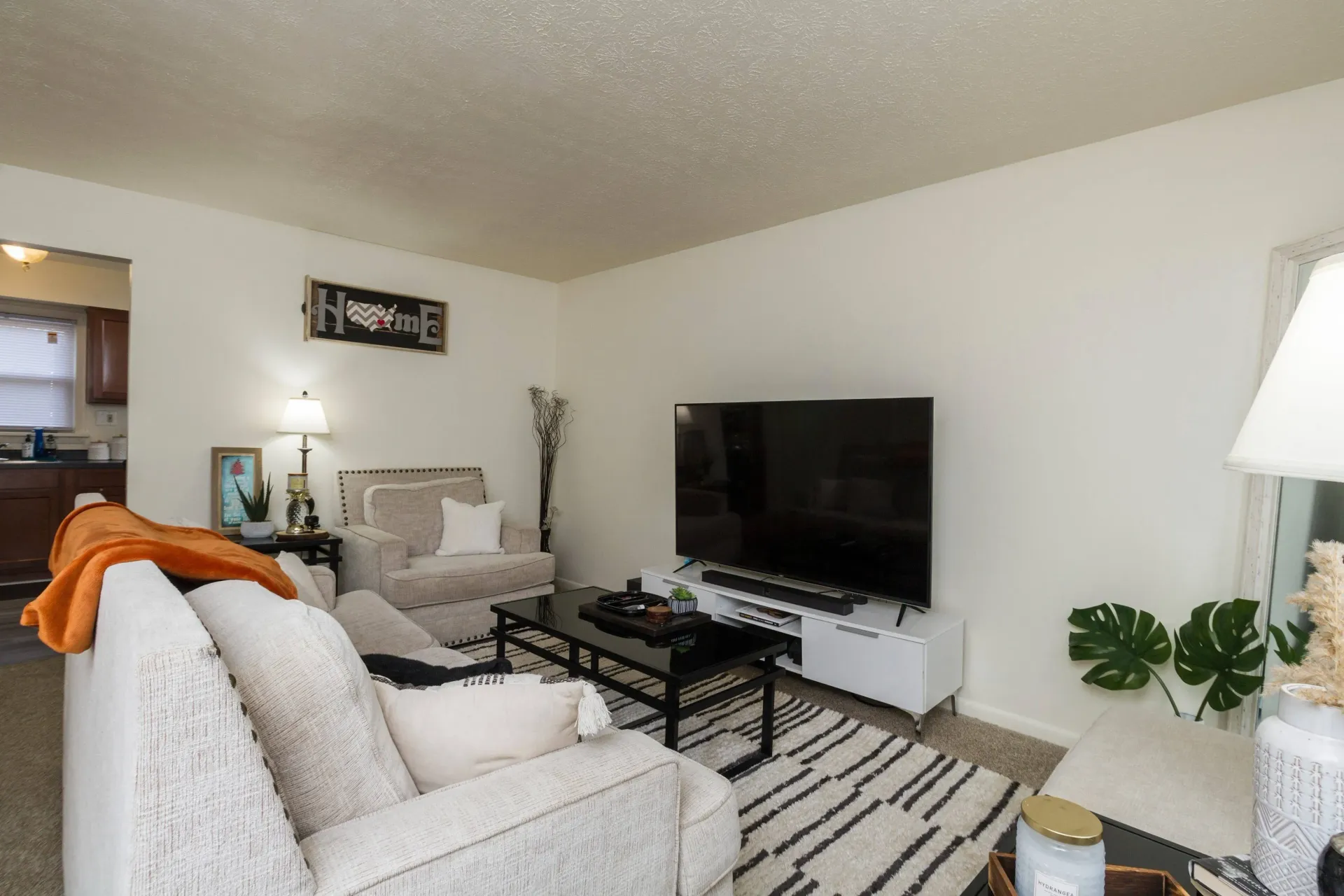 Living room with white walls, TV, sofa, black and white rug, and view into kitchen.