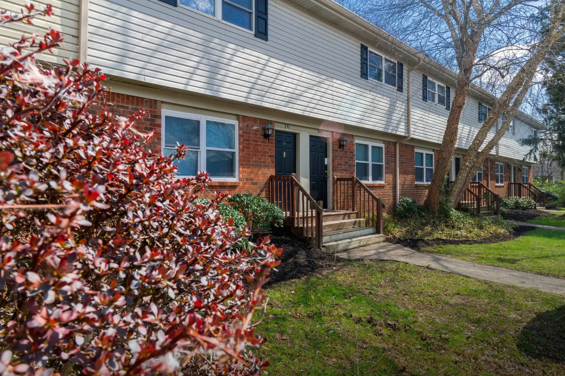 Row of brick townhouses with white siding and black shutters, red bush in front.