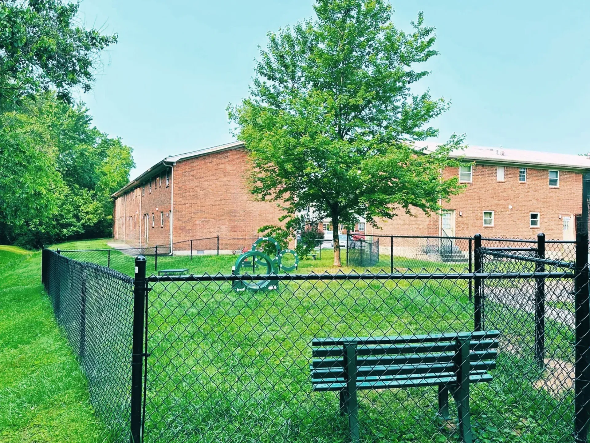 A fenced-in dog park with a bench, a small tree, and a brick building in the background.