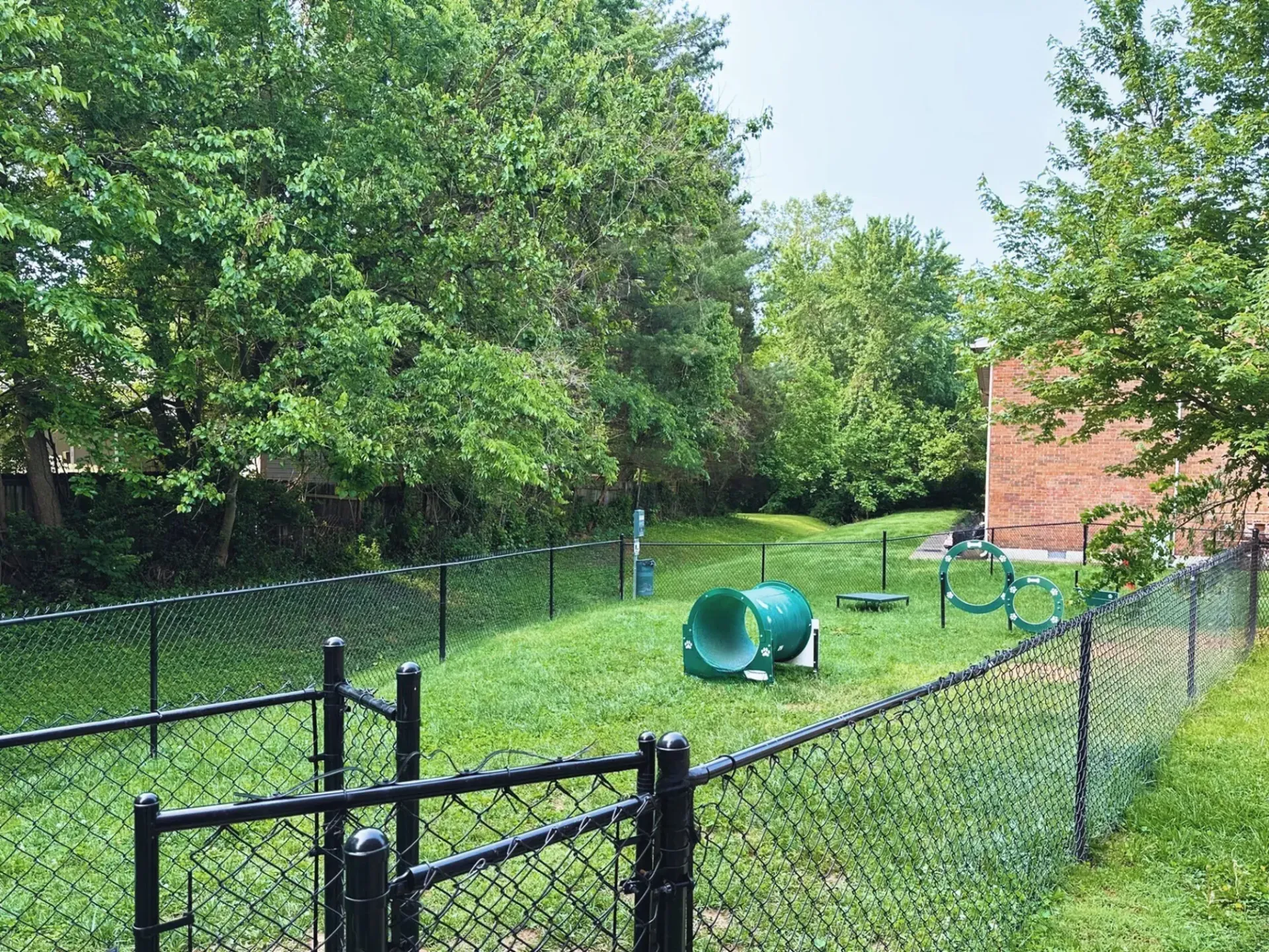 A fenced dog park with a green tunnel and agility equipment, surrounded by trees and a building.
