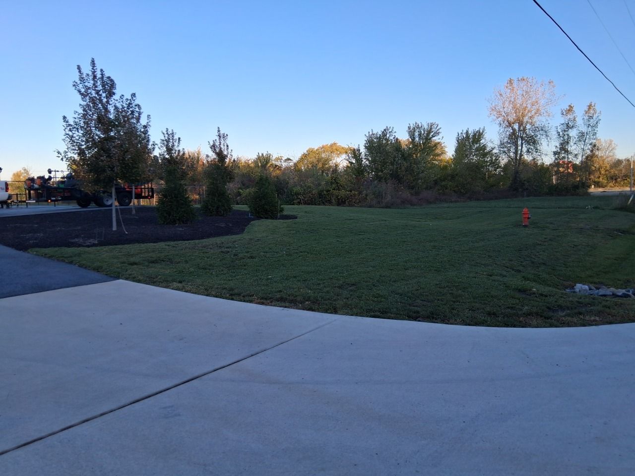 Concrete driveway beside a grassy yard with trees and shrubs under a clear blue sky