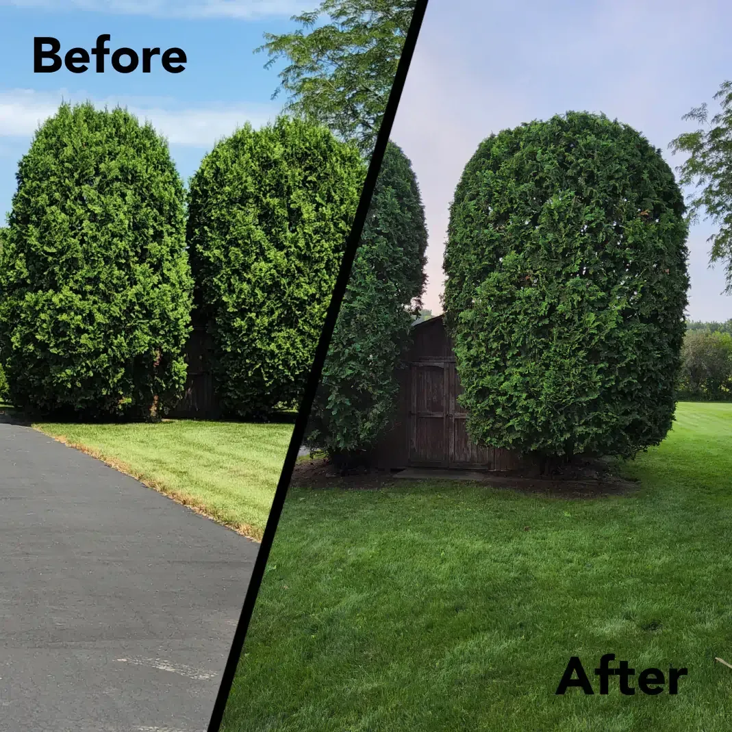 lawn maintenance hobart in