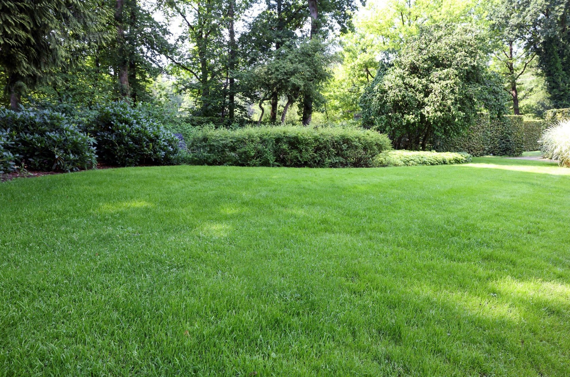 Lawn Maintenance