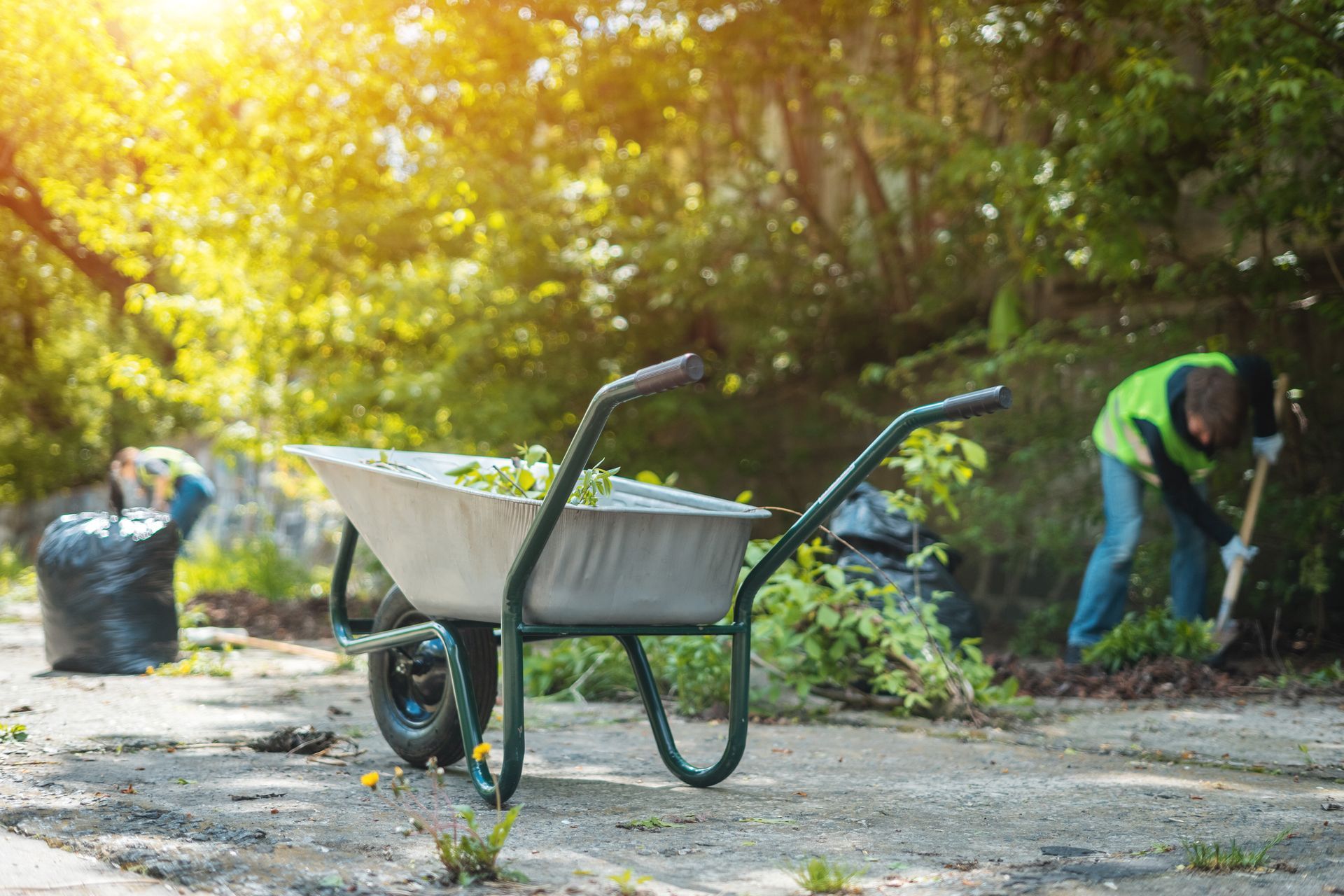 lawn maintenance hobart in