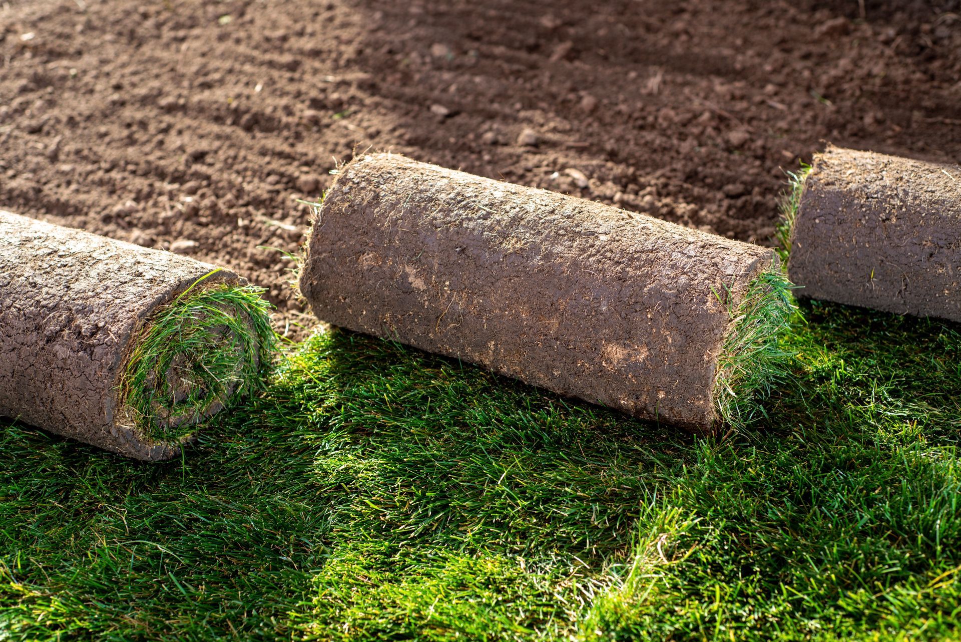 Rolled sod strips laid on bare soil, with bright green grass showing underneath