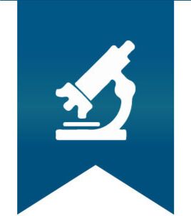 Research Icon