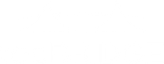 tecBRIDE logo