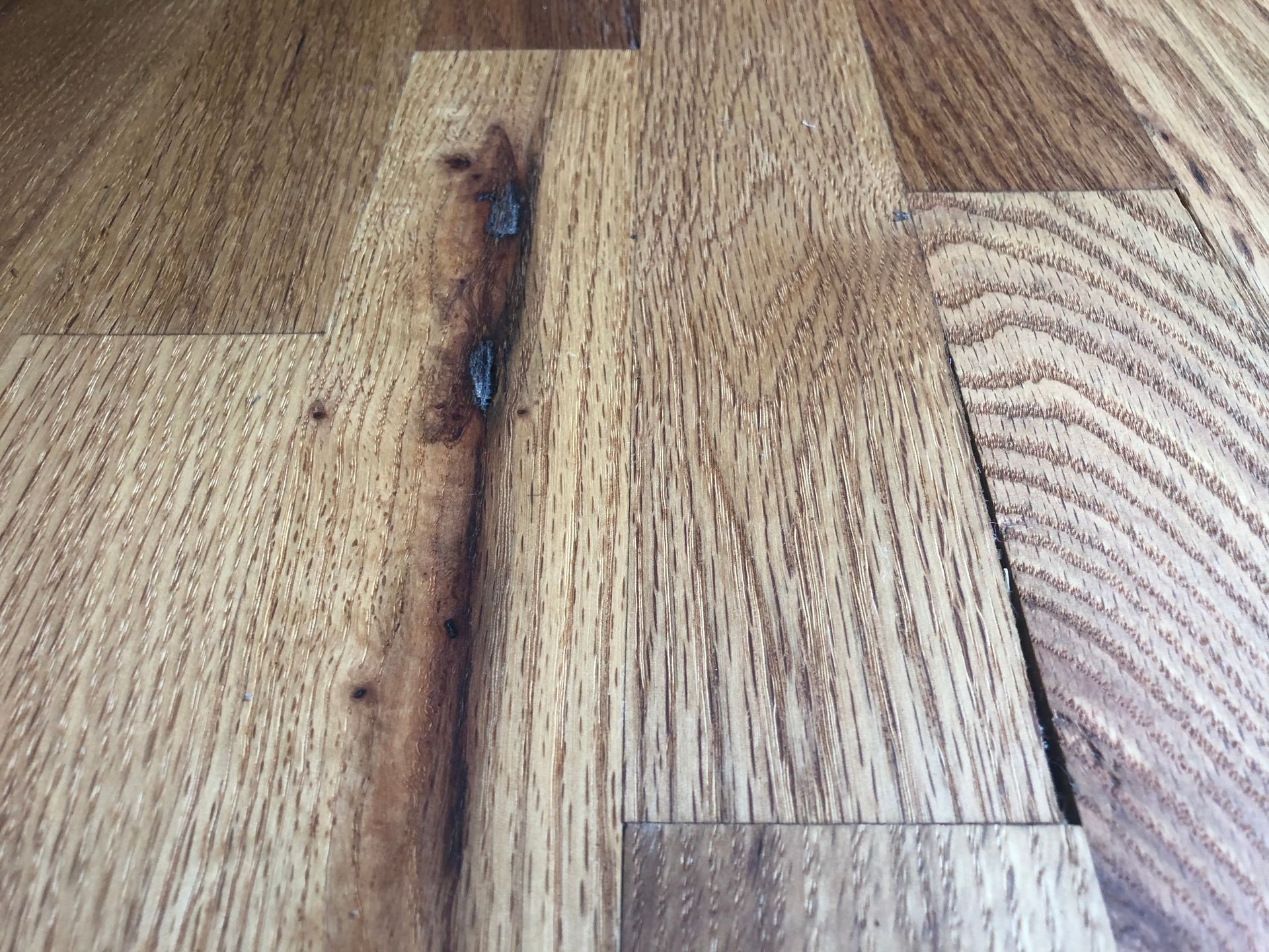 Close-up of hardwood flooring planks with varying wood grain and dark brown knot features.