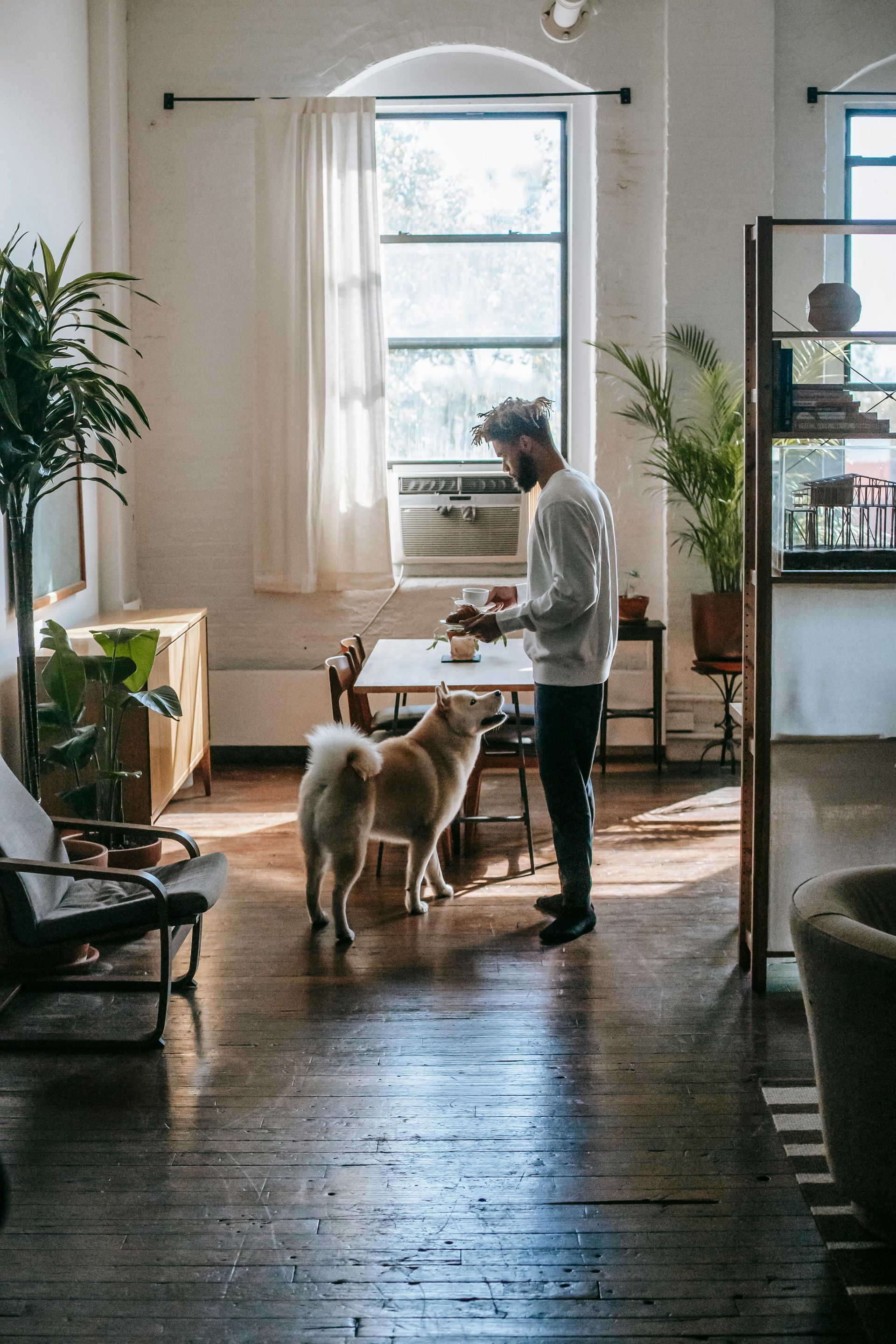 Man preparing food with dog in sunlit apartment. Wooden floors, plants, large windows.