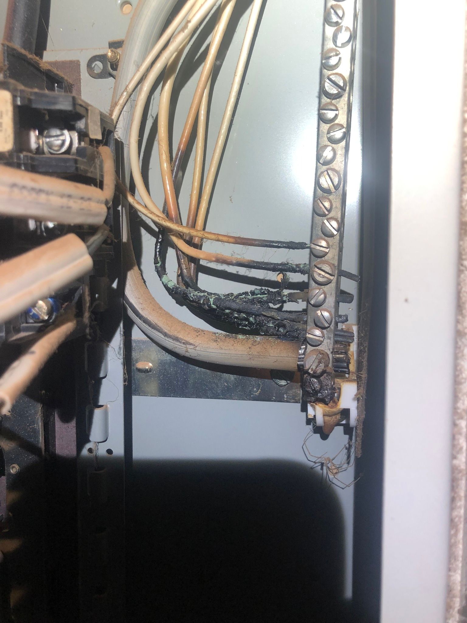 Electrical panel interior showing charred, melted wire insulation connecting to a metal terminal bar, indicating a fire risk.