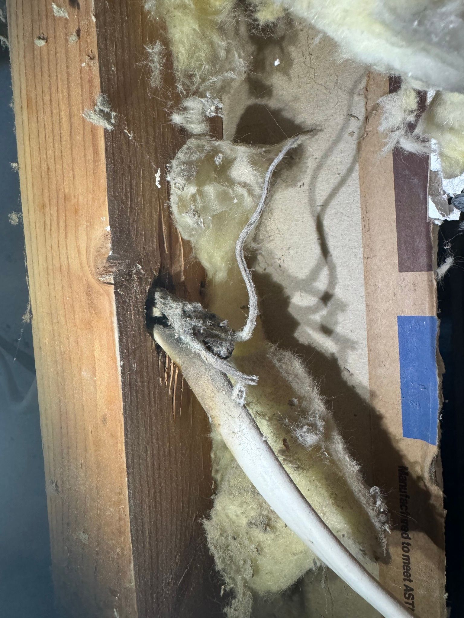 A white electrical wire passes through a hole in a wooden wall stud, surrounded by yellow fiberglass insulation.
