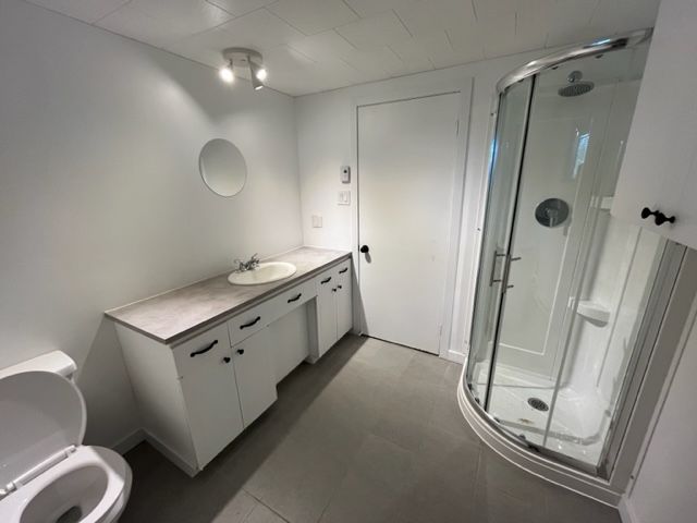 Une salle de bain avec un WC un lavabo et une douche