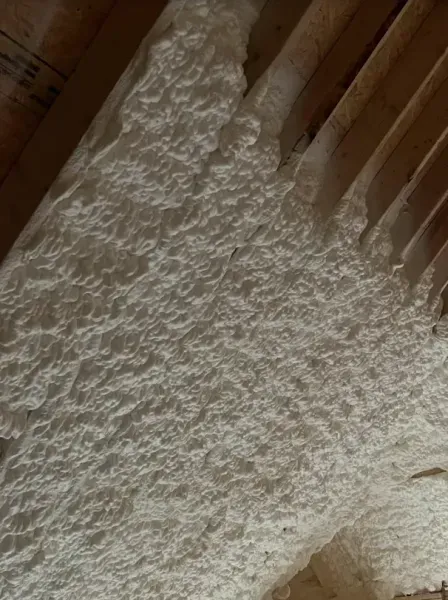 Off-white, textured spray foam insulation applied between wooden ceiling joists.
