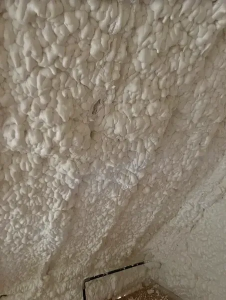 A close-up view of white, textured spray foam insulation applied to the underside of a roof or wall structure.