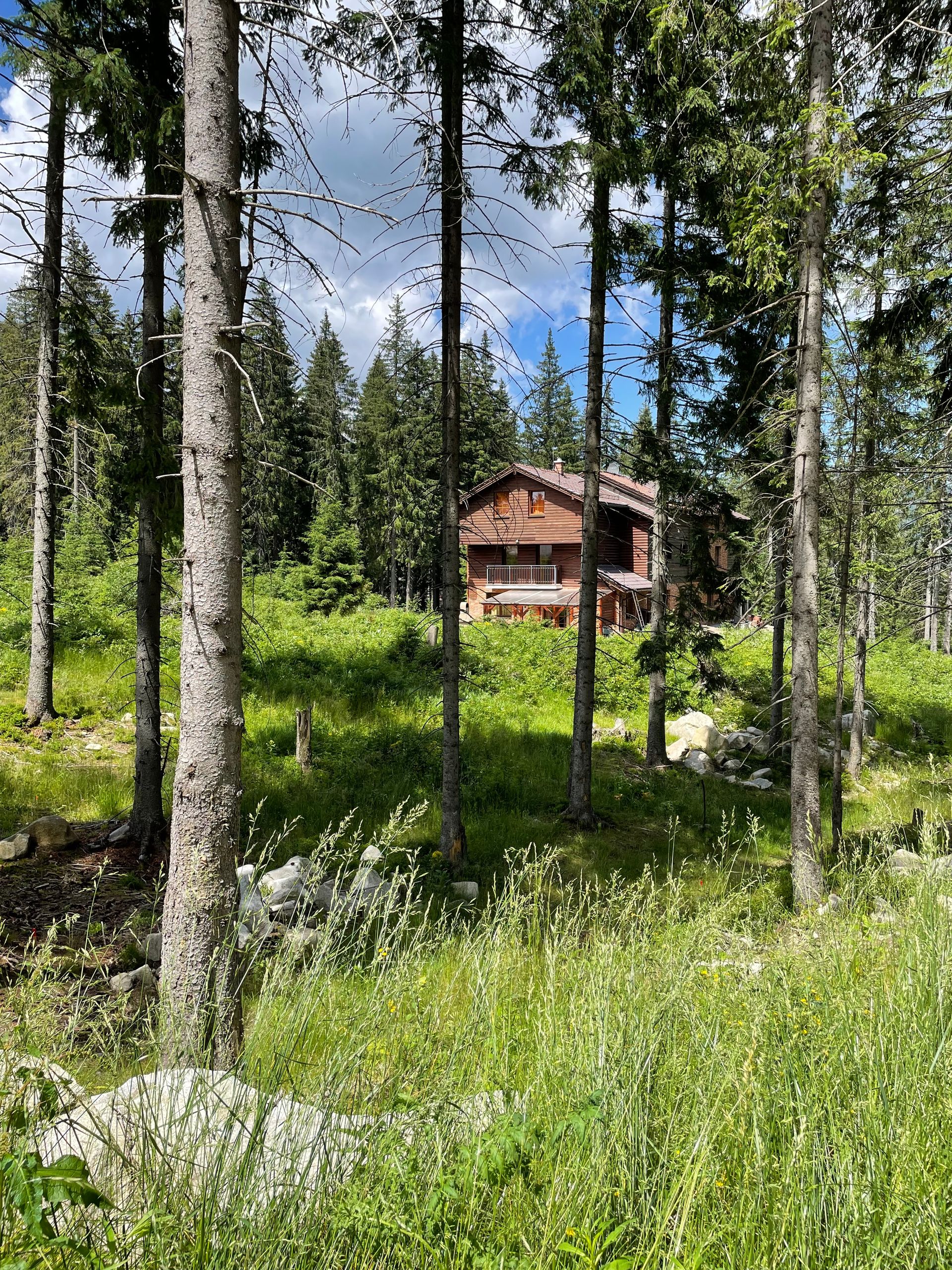 Villa uprostred lesa obklopená stromami.