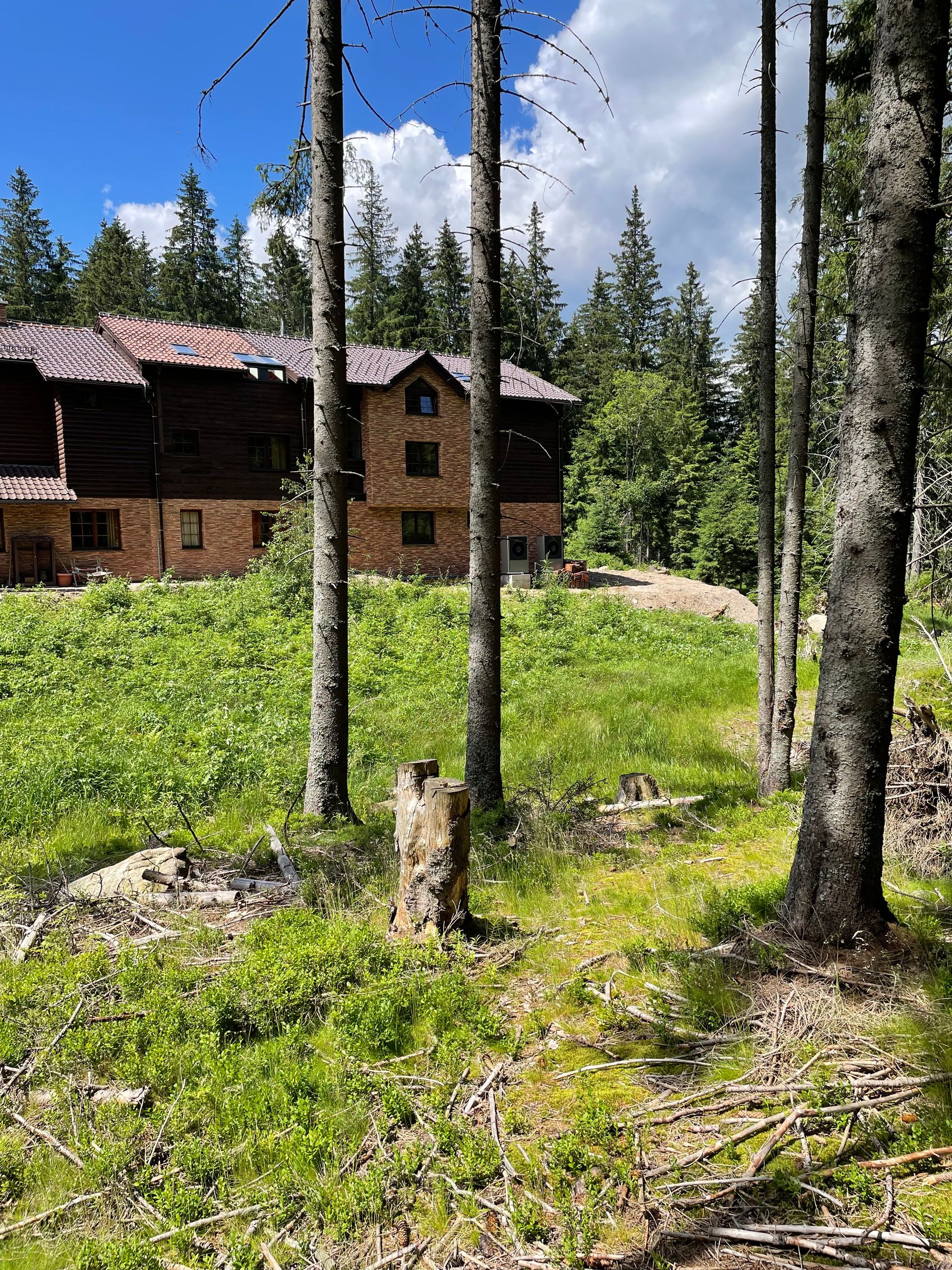 Villa  je obklopená stromami a trávou uprostred lesa.