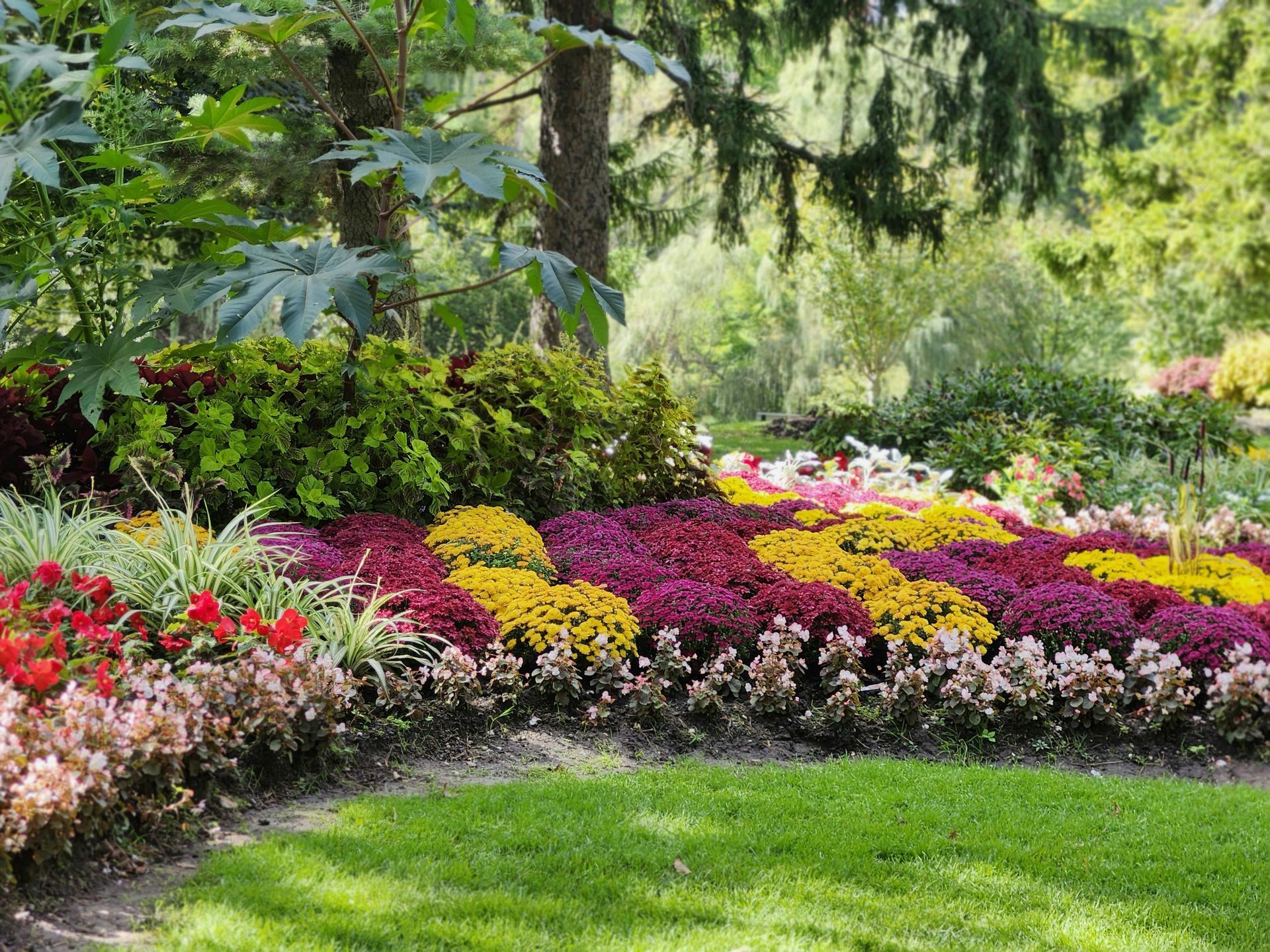 Colorful flower bed with pink, yellow, purple, and red blooms in a green garden setting
