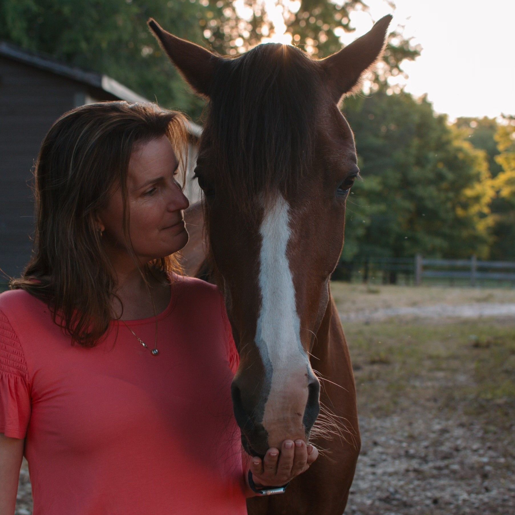 A woman in a pink shirt stands next to a brown horse