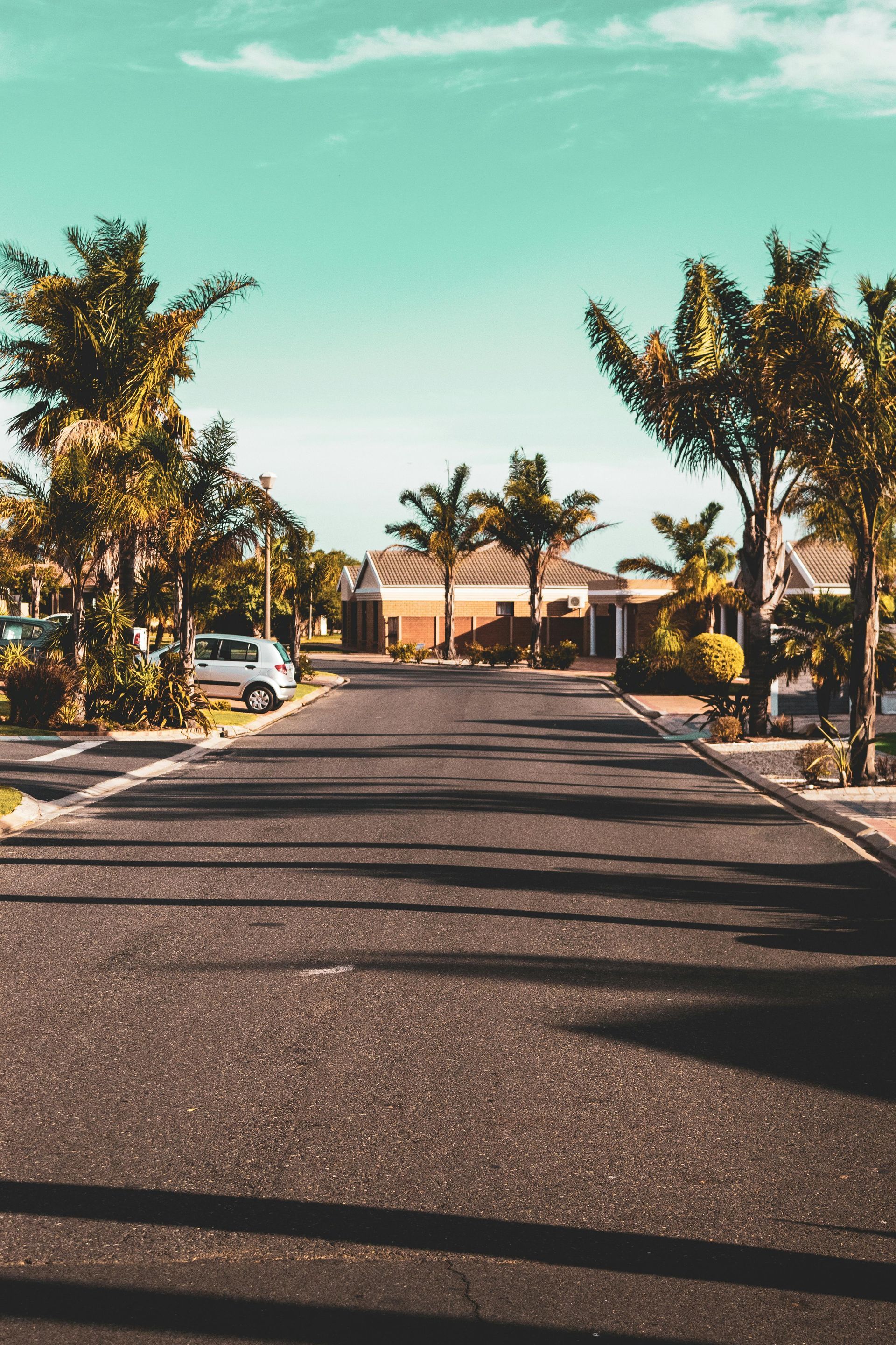 A paved road leads toward houses surrounded by palm trees under a bright blue sky.