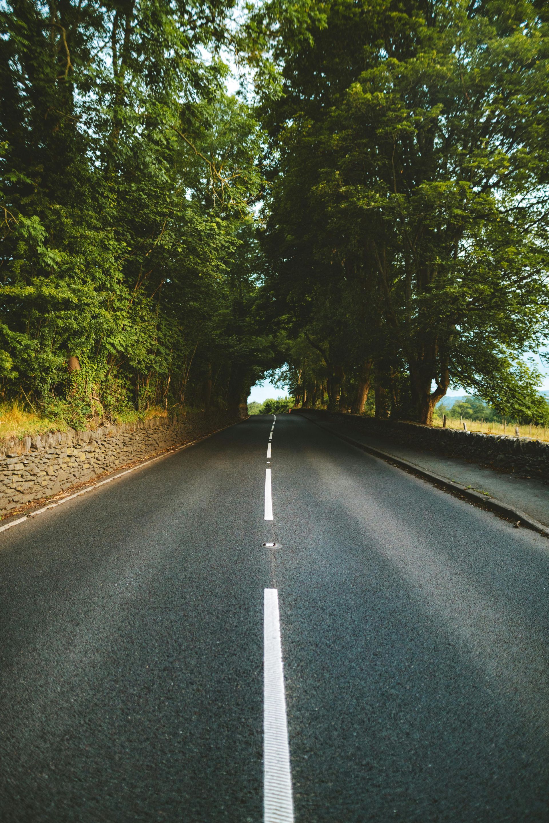 Asphalt Roadway Paving