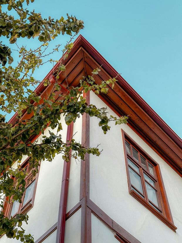 Looking up at the roof of a house with a tree in the foreground
