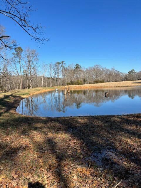 Wooded pond reflecting a clear blue sky on a sunny day