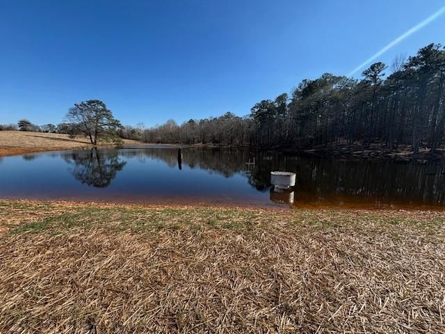 Calm lake reflecting trees and blue sky, with dry grass in the foreground and a small white post at the shore