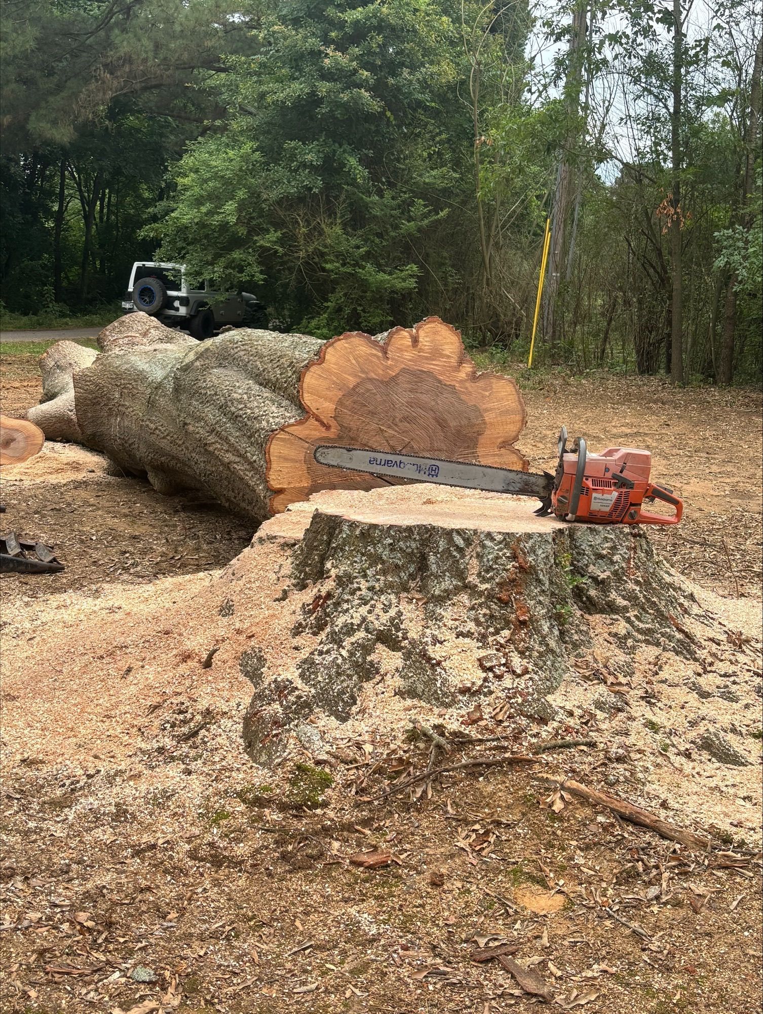 A chainsaw is sitting on top of a tree stump.