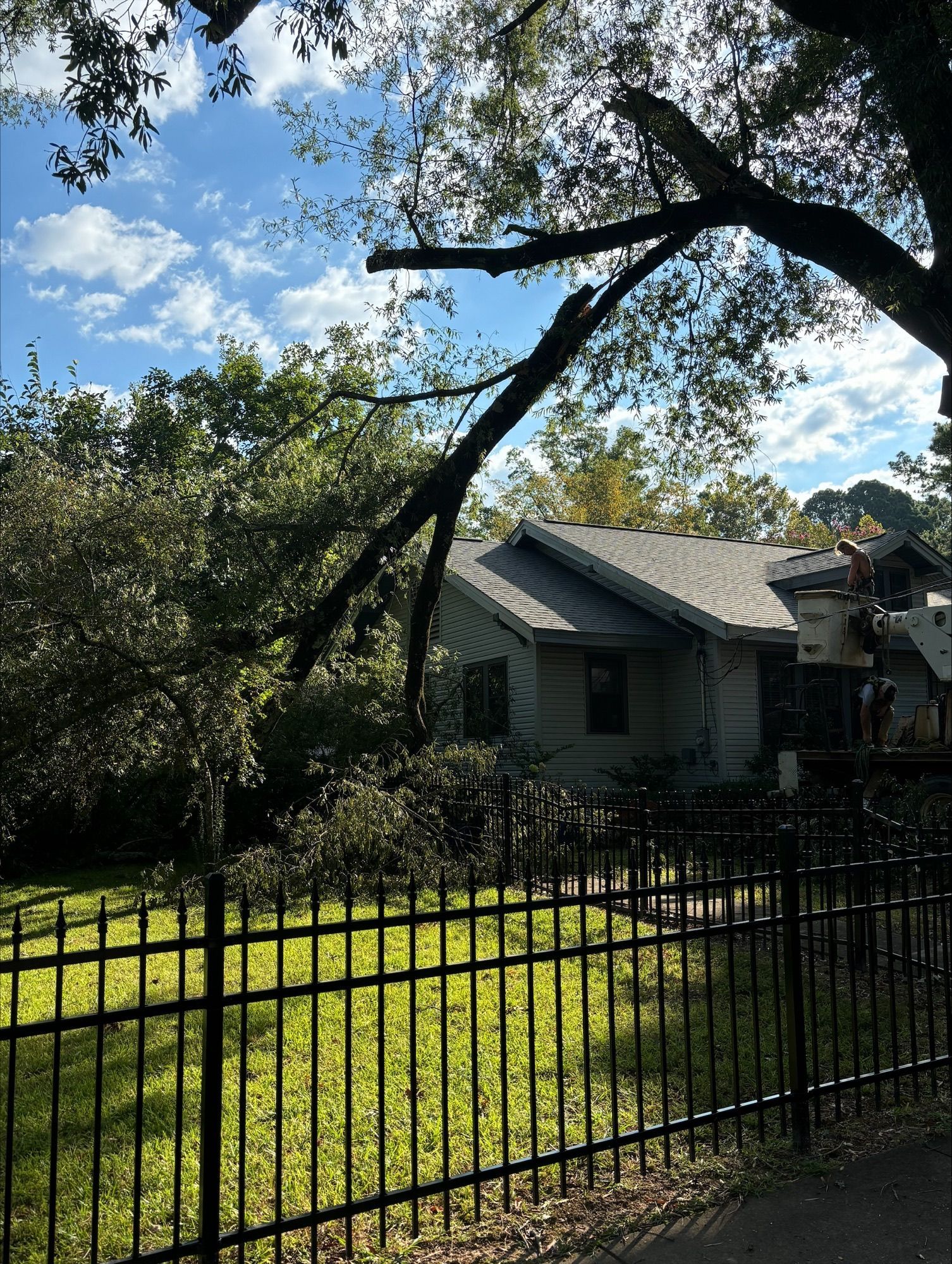 A house with a black fence and a tree in front of it.