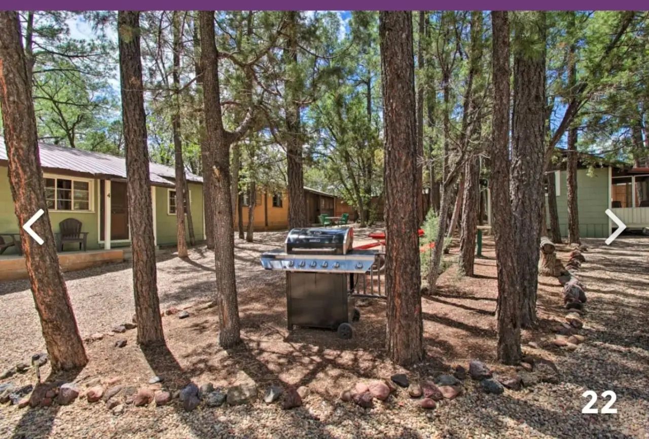 Outdoor stone grill among pine trees beside a cabin in a wooded area