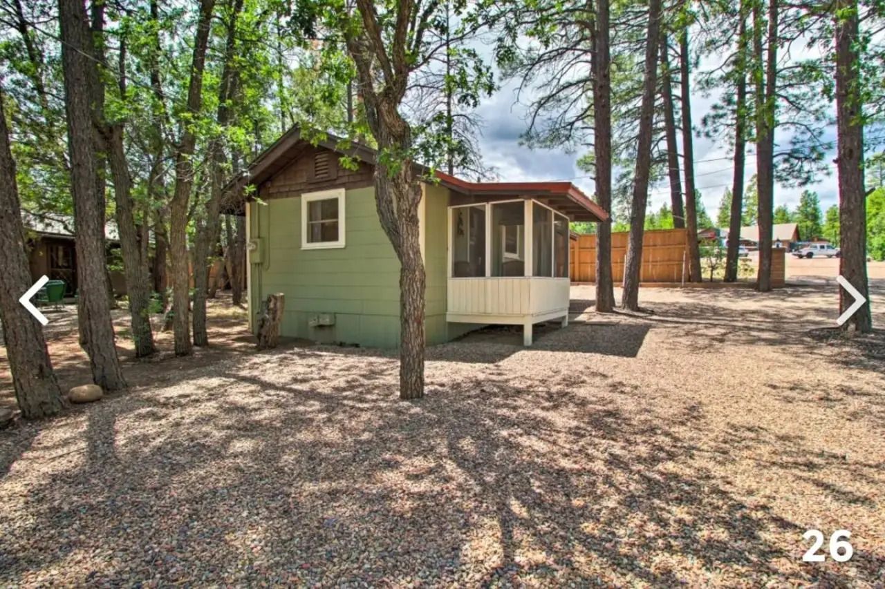 Small green cabin with screened porch among tall trees and gravel ground.