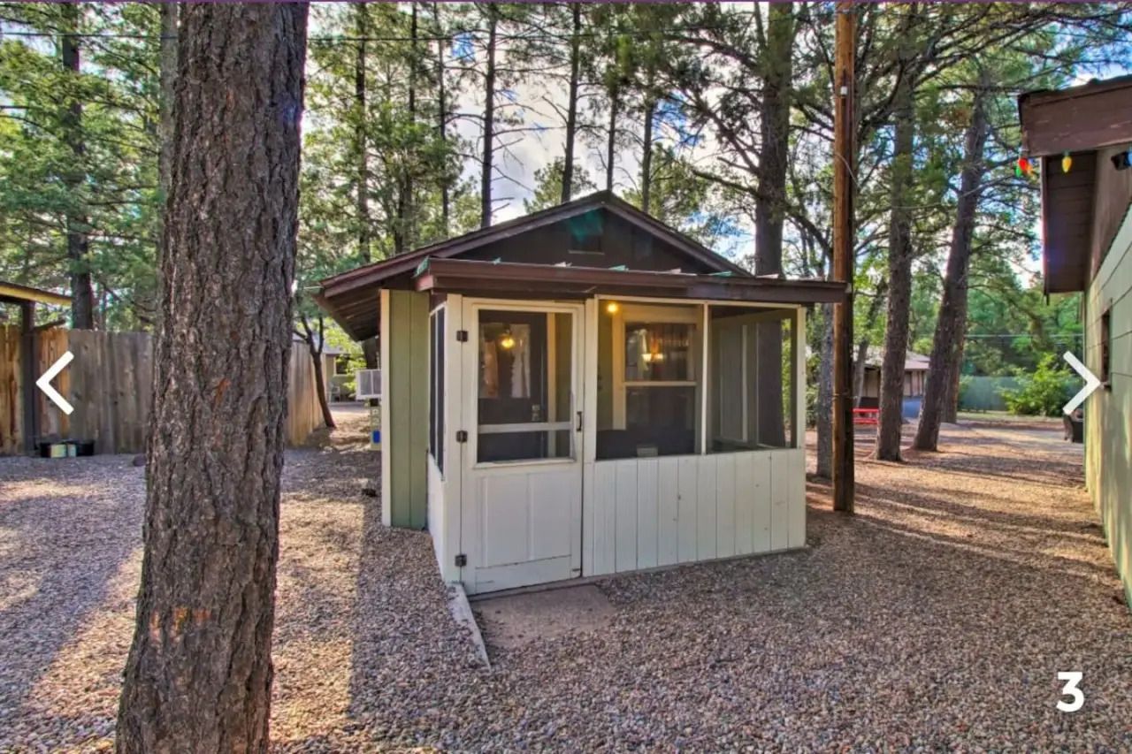 Small beige cabin among tall pine trees in a wooded area, with a front porch and lit windows.