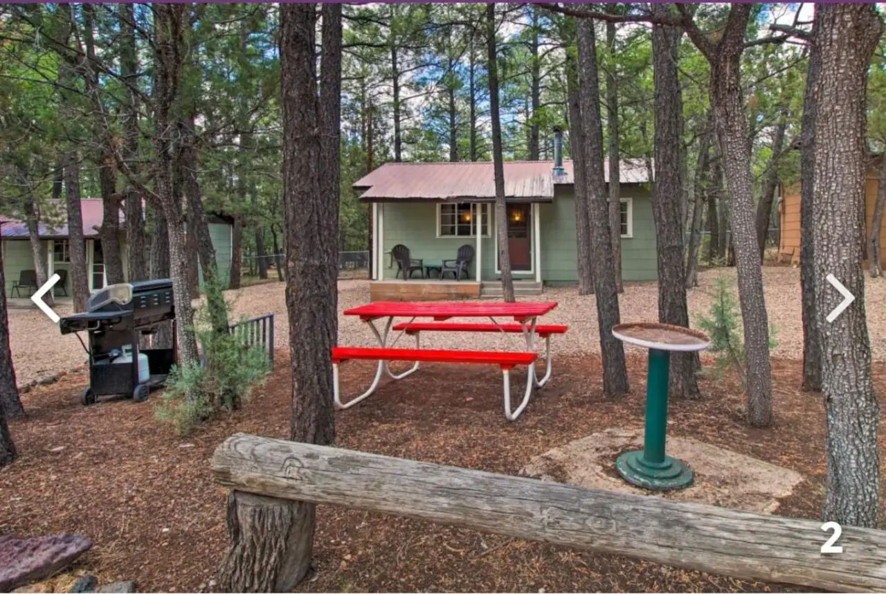 Wooded picnic area with a red picnic table, small cabin, and parked off-road vehicle