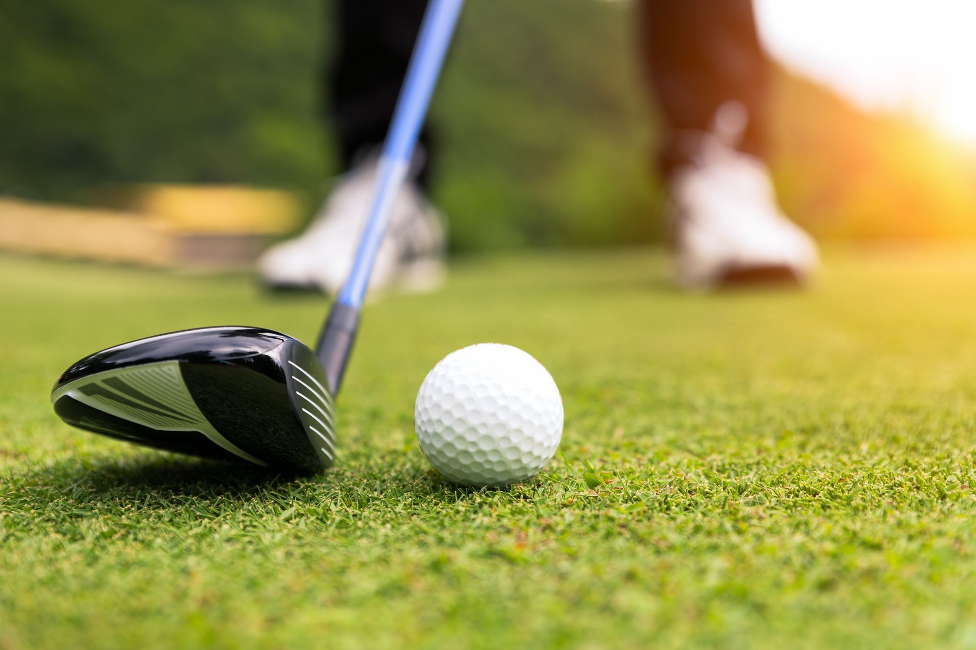 Golf club about to hit a white ball on a green course