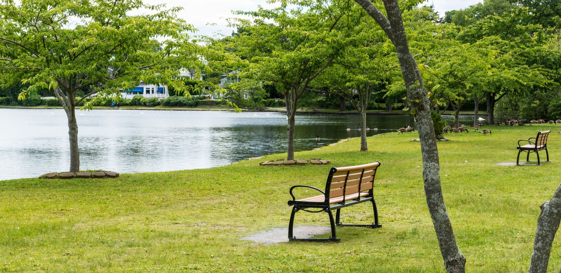 Park benches on green grass beside a calm lake with trees overhead