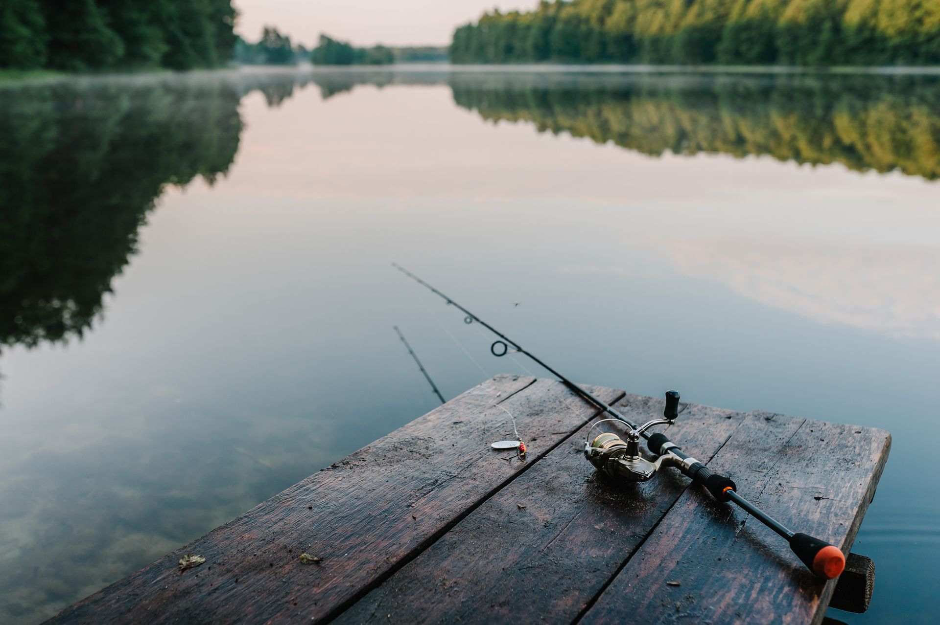 Fishing rods on a wooden dock beside a calm lake at dawn