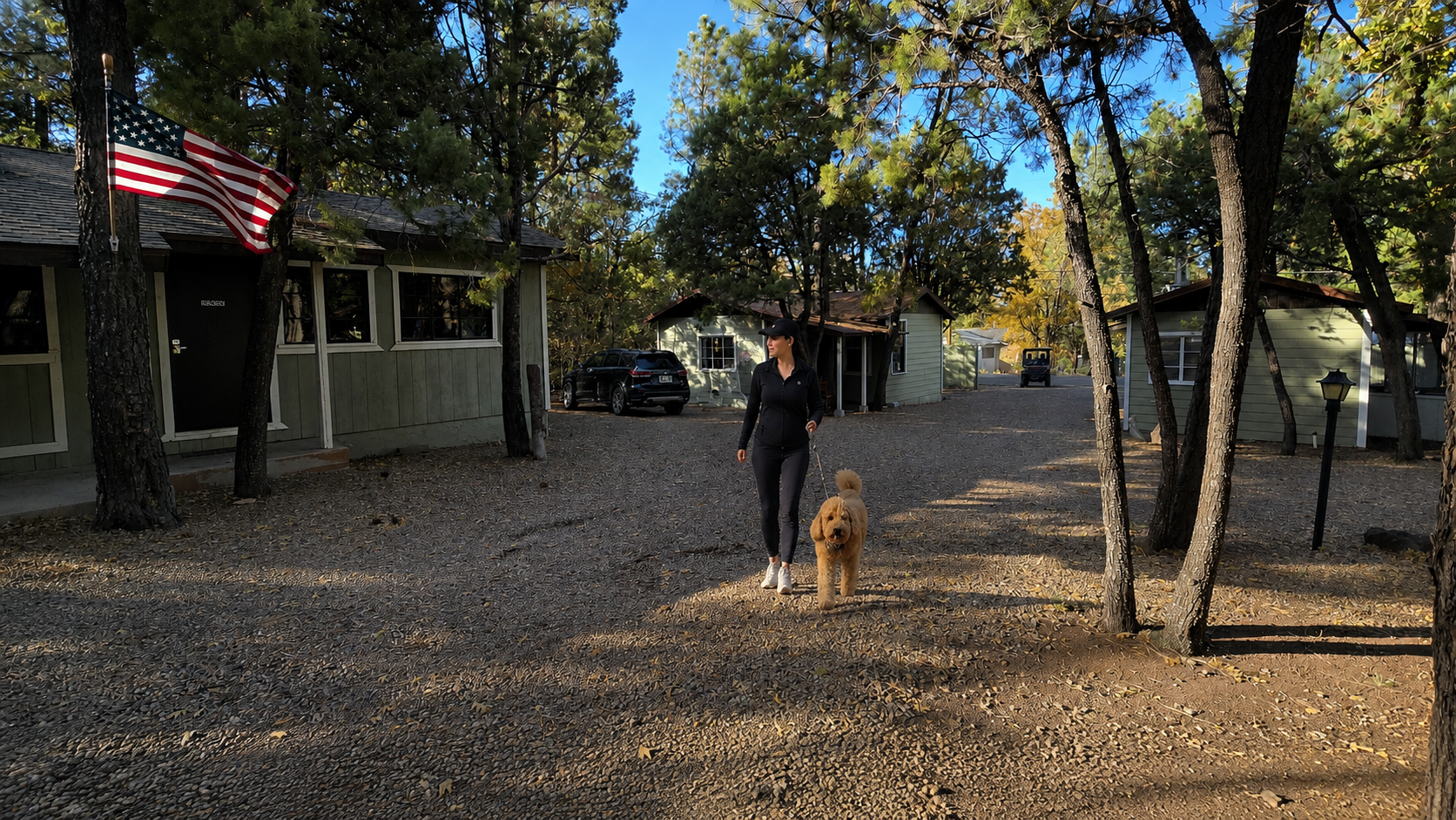 Person standing with a dog in a wooded campsite near cabins and an American flag.