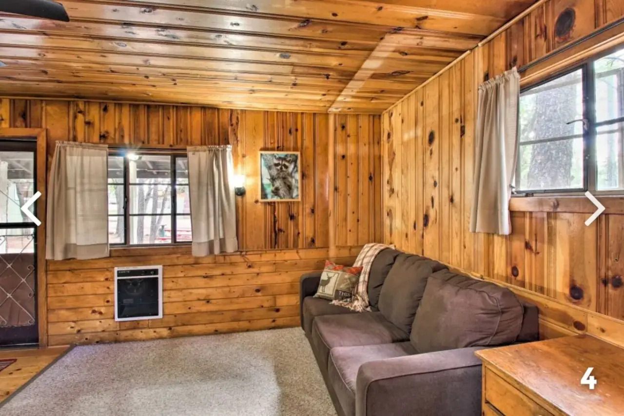 Wood-paneled living room with brown sofa, beige carpet, and windows letting in daylight