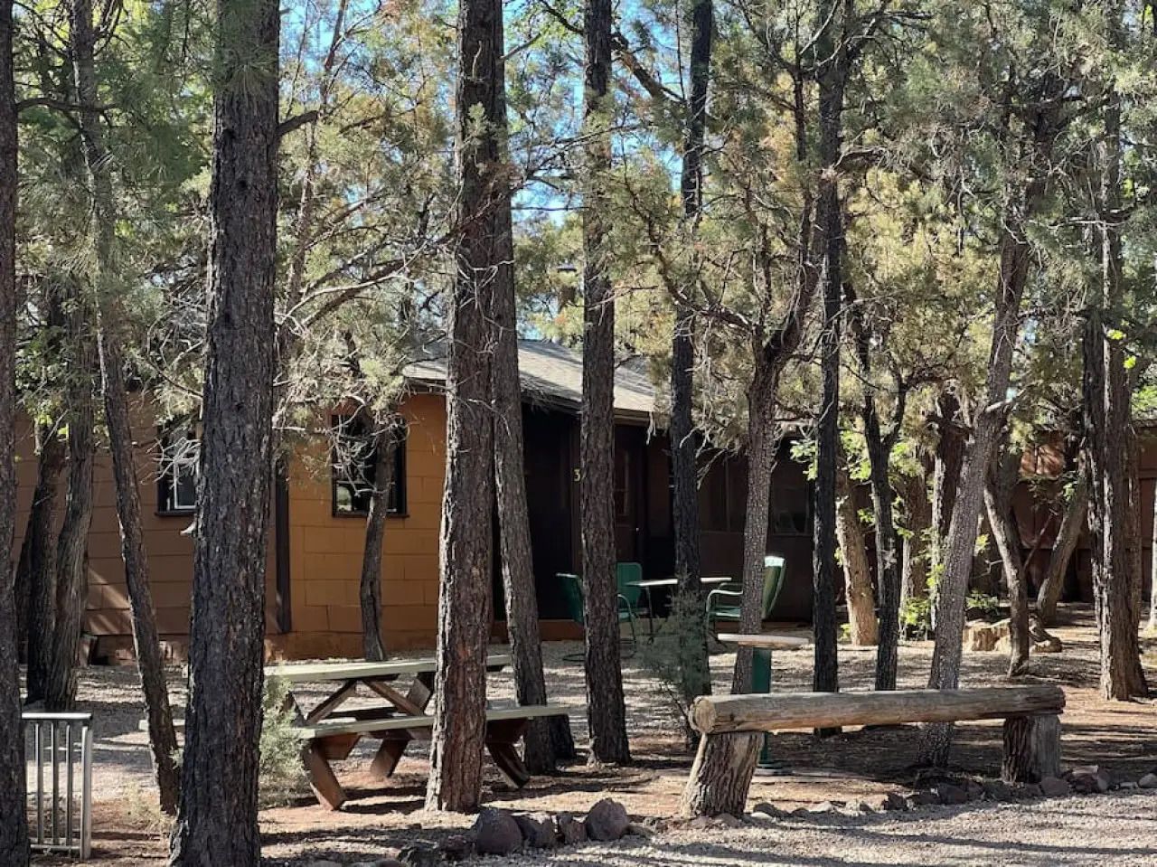 Wooden cabin among tall pine trees with picnic tables in a wooded campground