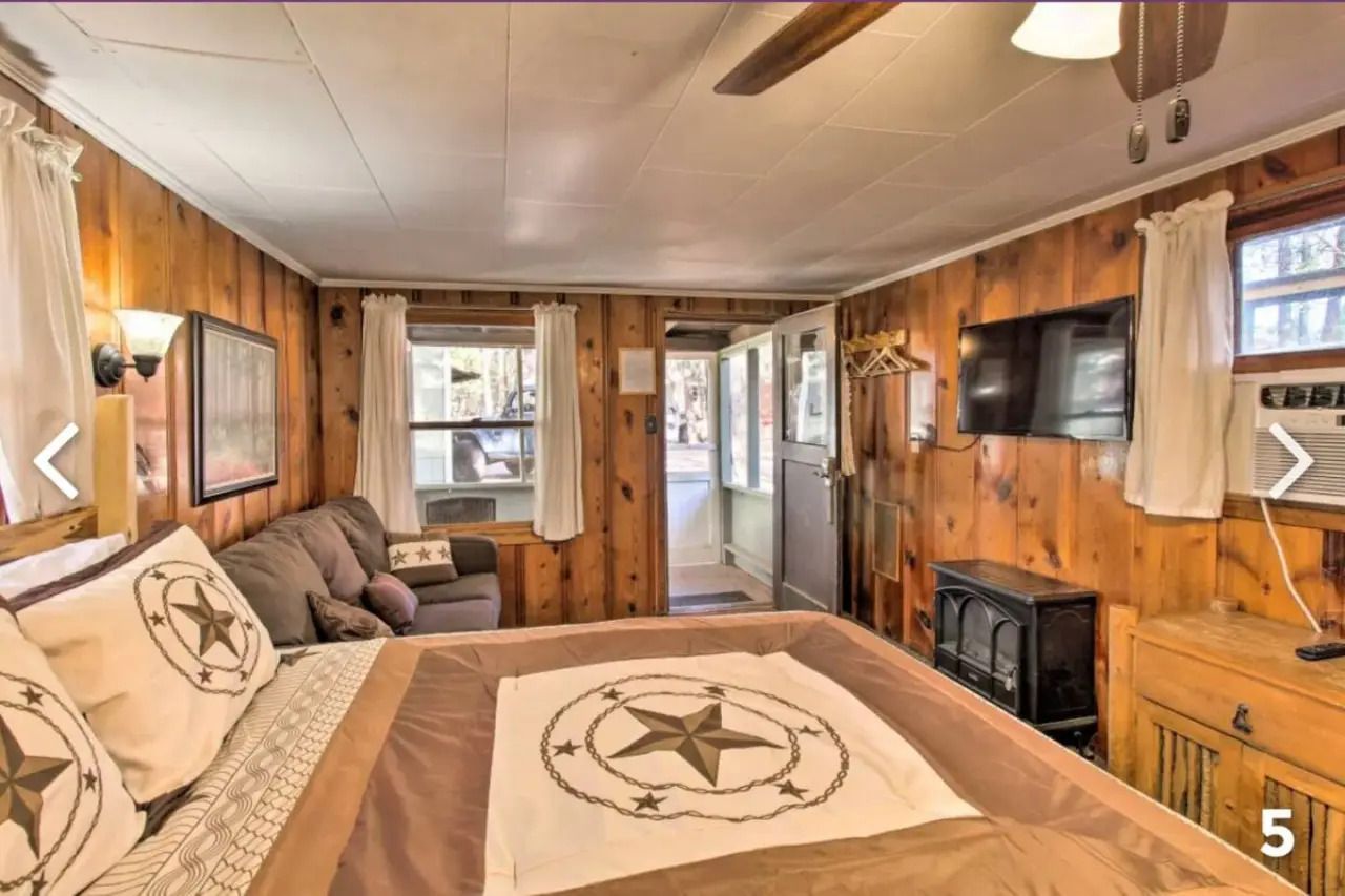 Cozy wood-paneled cabin living room with bed, sofa, TV, and windows