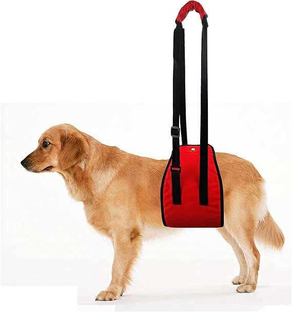 alt=