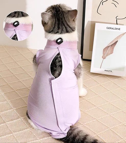 alt=